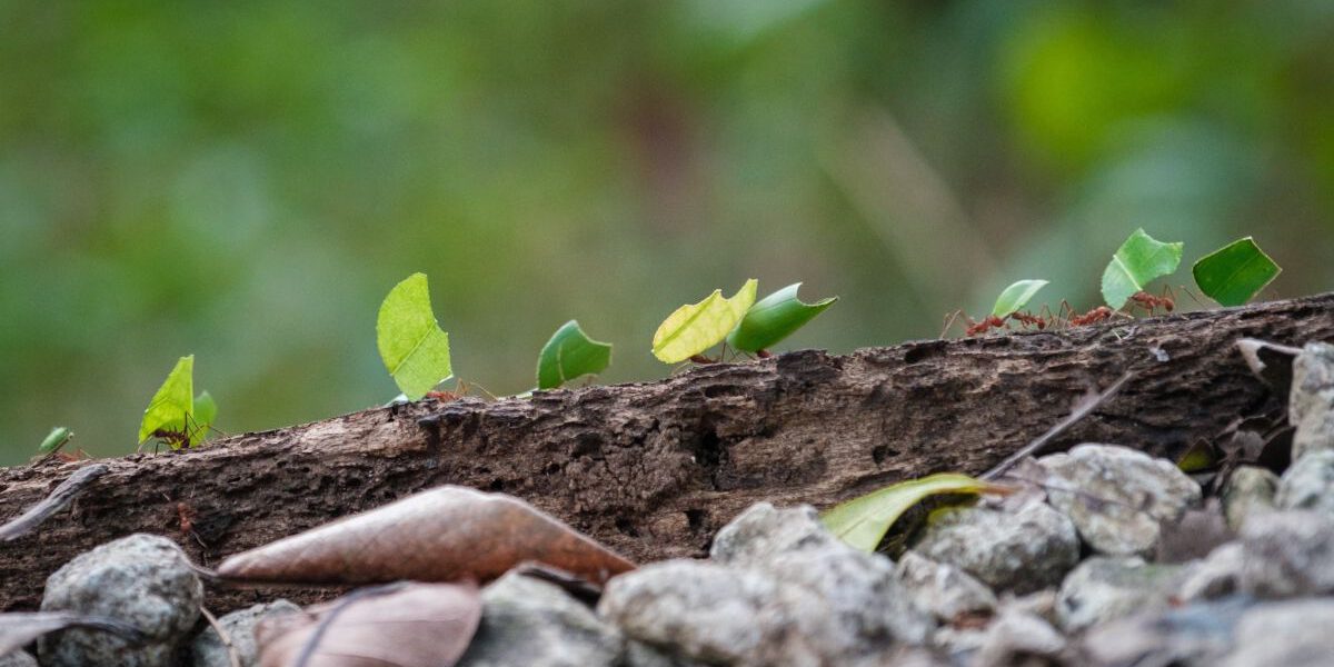 Teamwork – christian holzinger